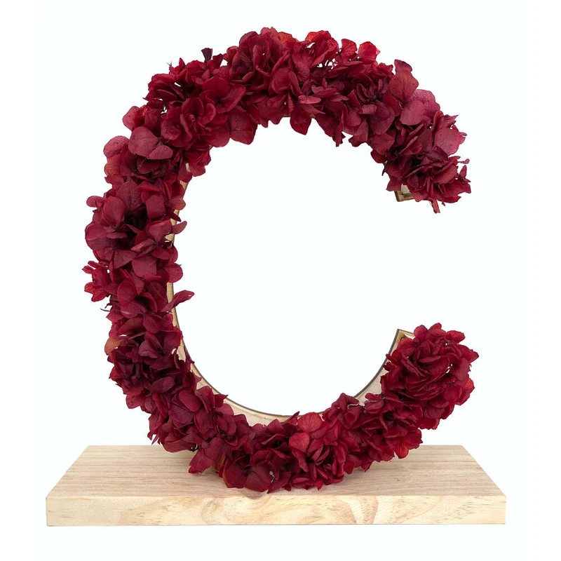 Mundo Eterno Letra Hortensia Roja Preservada 27x26cm