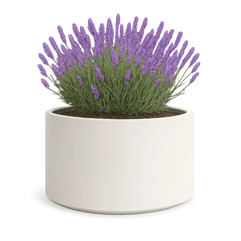 GARDRA Jardinière en polyester blanche pur Ø 100x60 cm RAL 9010