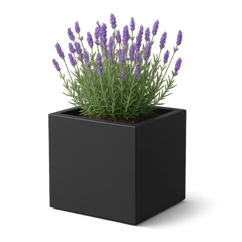 GARDRA Jardinière en polyester noire de jais 50x50x50 cm RAL 9005