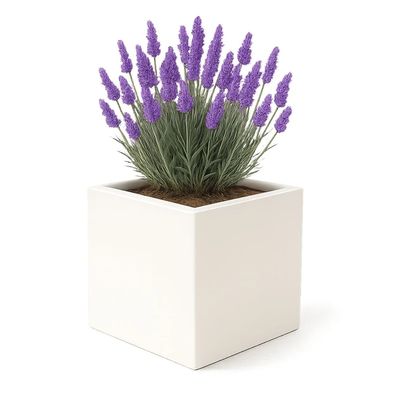 GARDRA Jardinière en polyester blanche pur 40x40x40 cm RAL 9010