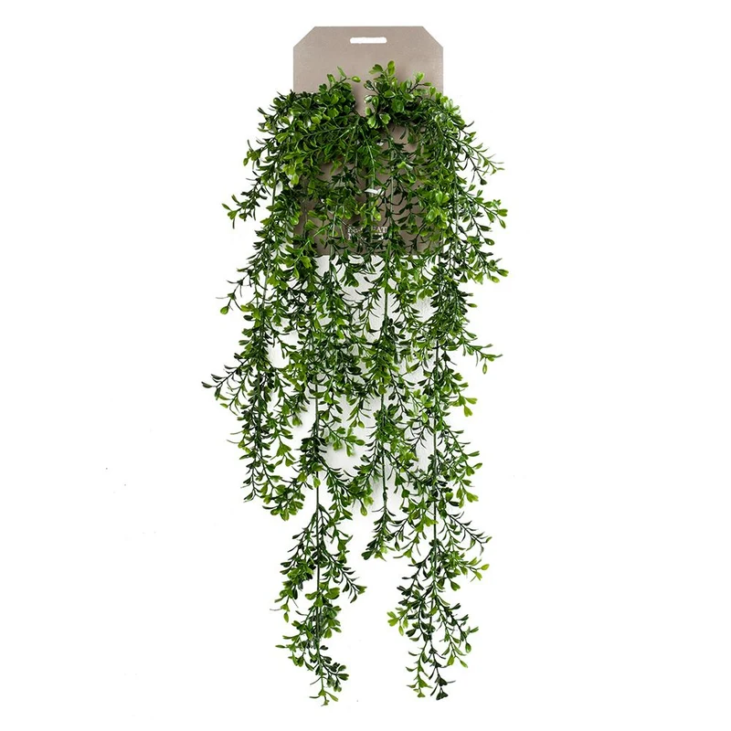 Planta colgante BOJ de 75 cm (6 unidades)