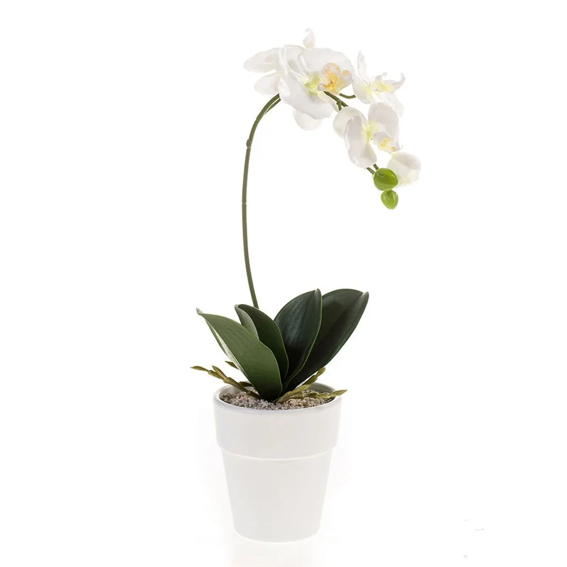 ORQUÍDEA blanca con maceta (MINI). (8 unidades)