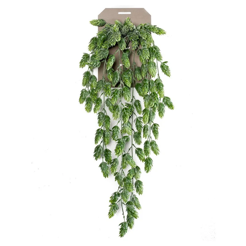 Planta colgante LUPULO de 70 cm de largo. (6 unidades)