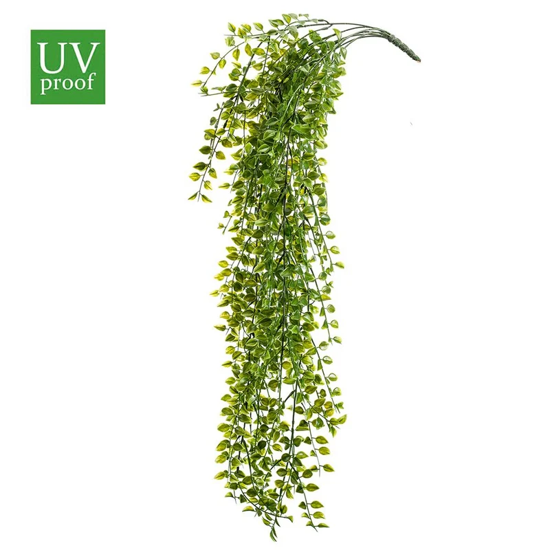Planta colgante UV Exterior FICUS PUMILA de 80cm (Estuche 12 Unidades)