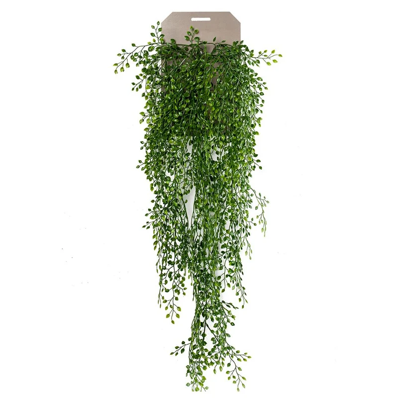 Planta Colgante arbusto Jazmin de 80 cm (6 unidades)