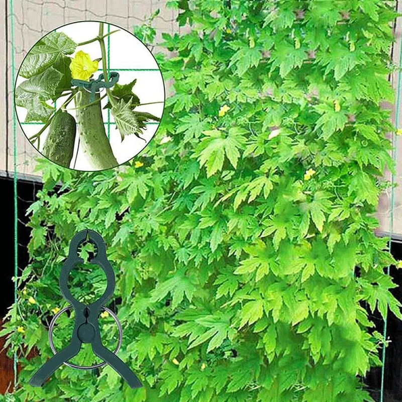 Soporte Enrejado Trepadoras 122x122 Cm Con Red Nyana Garden | Estructura En A | Huerto Y Jardín