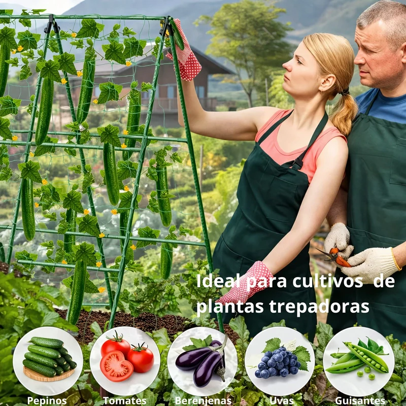 Soporte Enrejado Trepadoras 180x180 Cm Nyana Garden | Estructura En A | Huerto Y Jardín