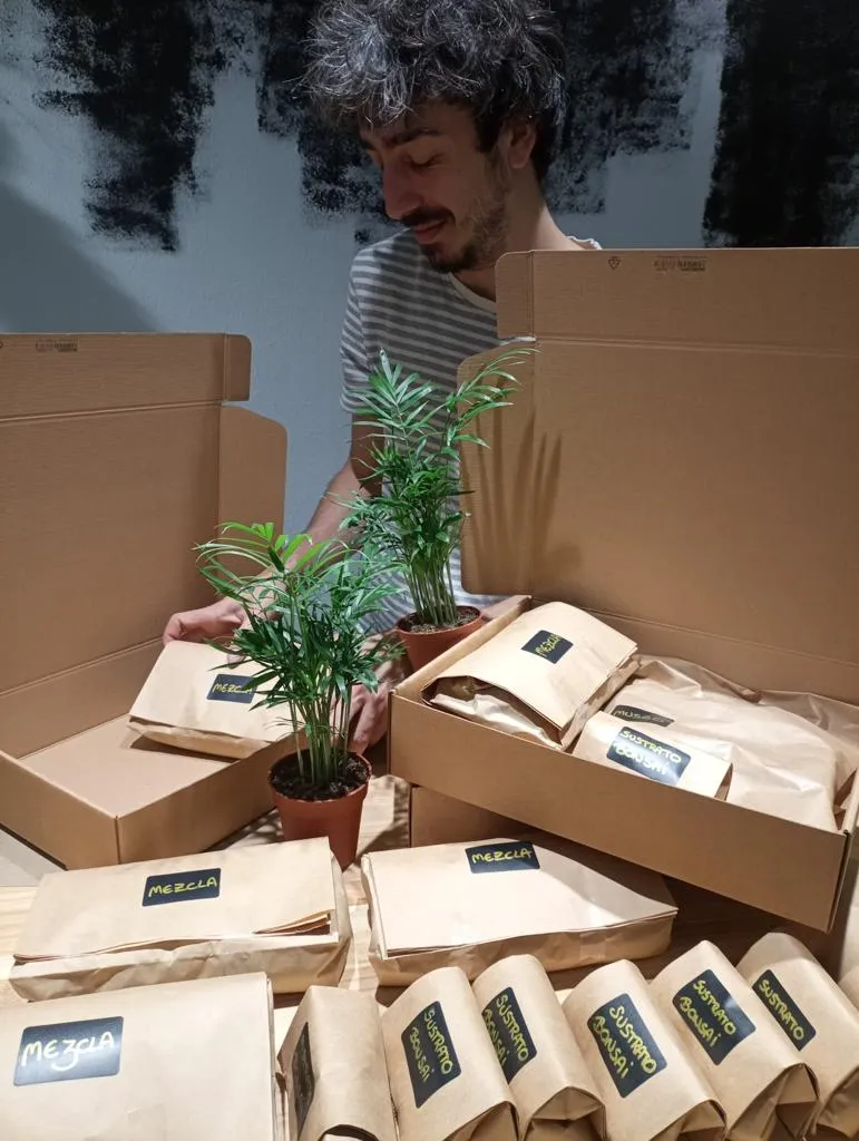 Kit Kokedama - Diy