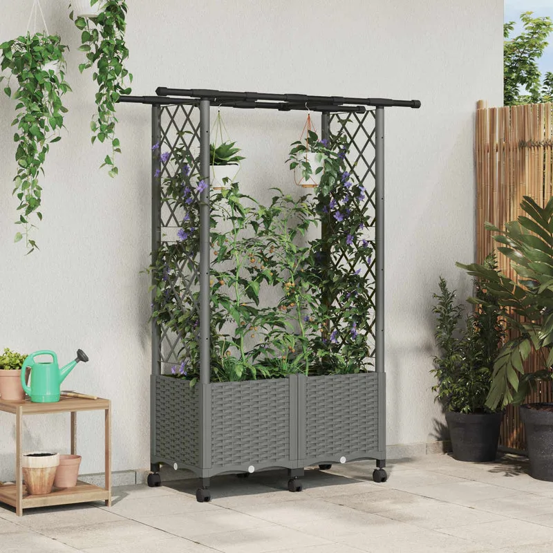 Cama Elevada Con Trellis Y Techo Gris Claro 124,5 X 40 X 142 Cm