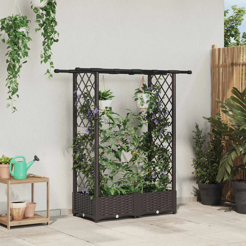 Cama Elevada Con Trellis Y Techo Marrón 122,5 X 40 X 121 Cm Pp