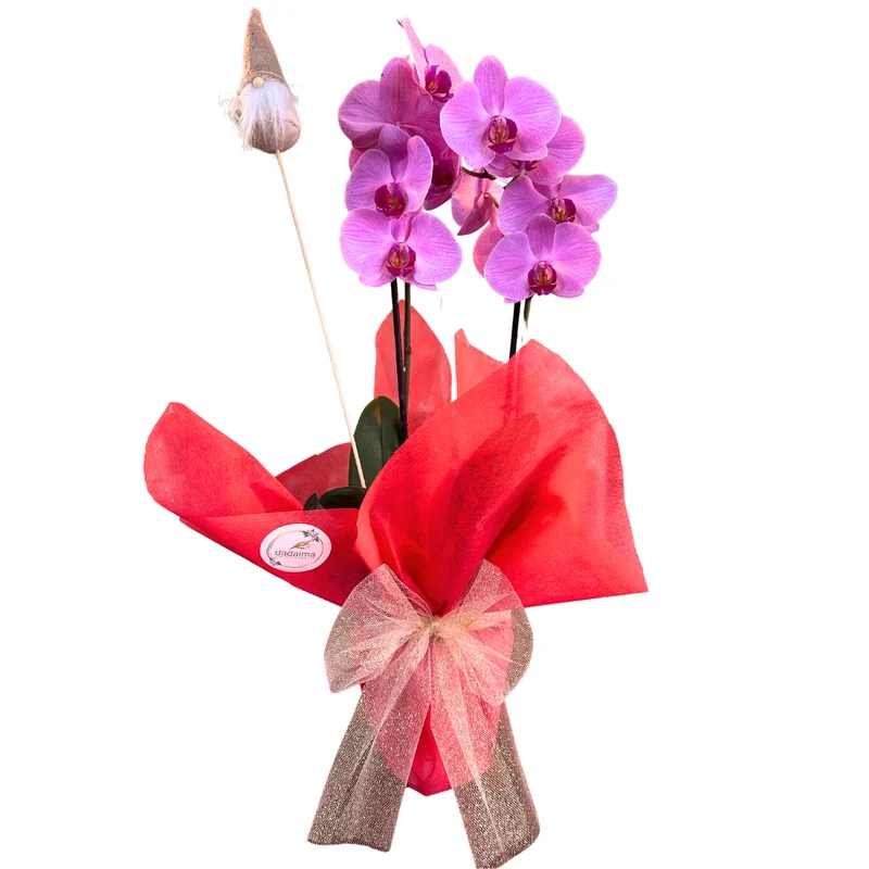 Orquídeas Decoradas: El Toque Perfecto Para Estas Fiestas
