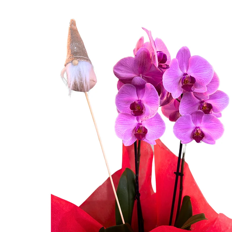 Orquídeas Decoradas: El Toque Perfecto Para Estas Fiestas