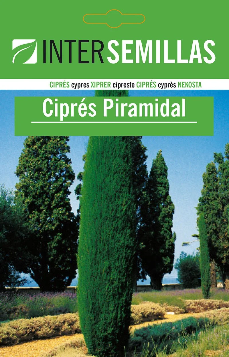 Sobre De Semillas De Cipres Piramidal