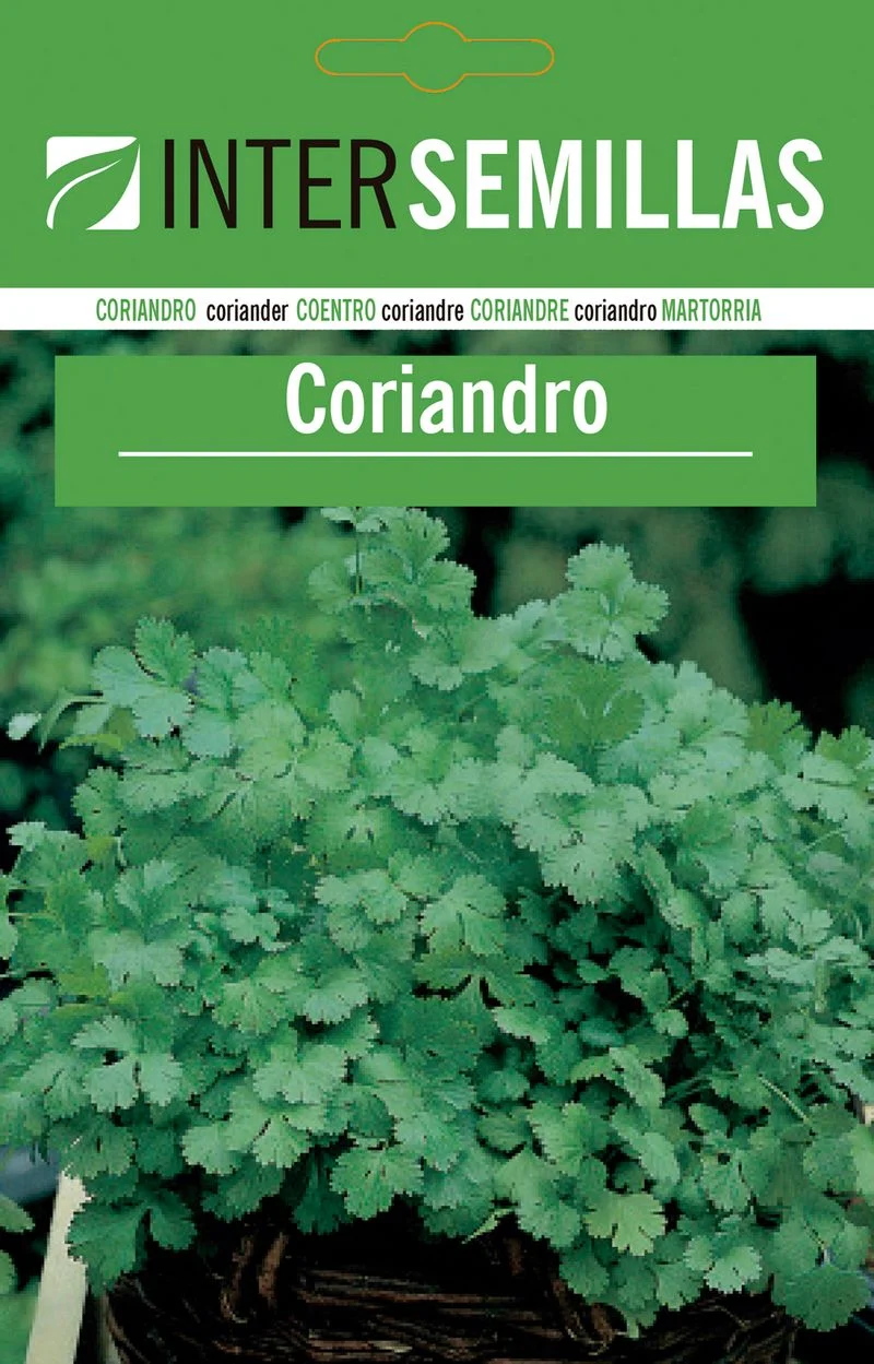 Sobre De Semillas De Coriandro