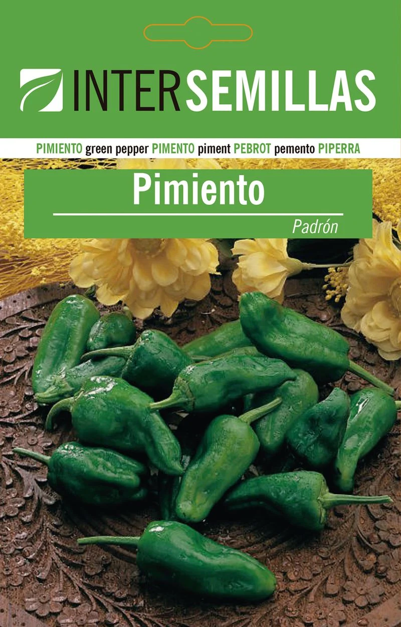 Sobre De Semillas Pimiento Padrón