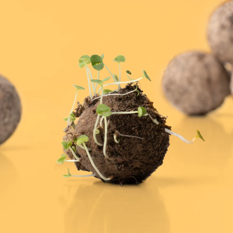 Kit Diy Bombas De Semillas De Flores – Haz Tus Propias Bombas De Flores - Resetea