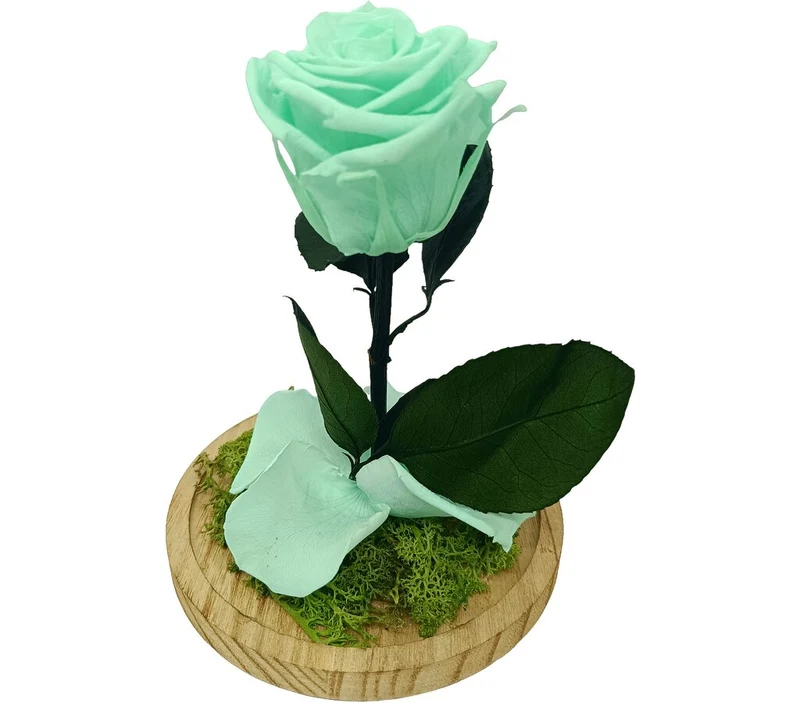 Mundo Eterno Rosa En Cúpula Verde Menta 12x20cm
