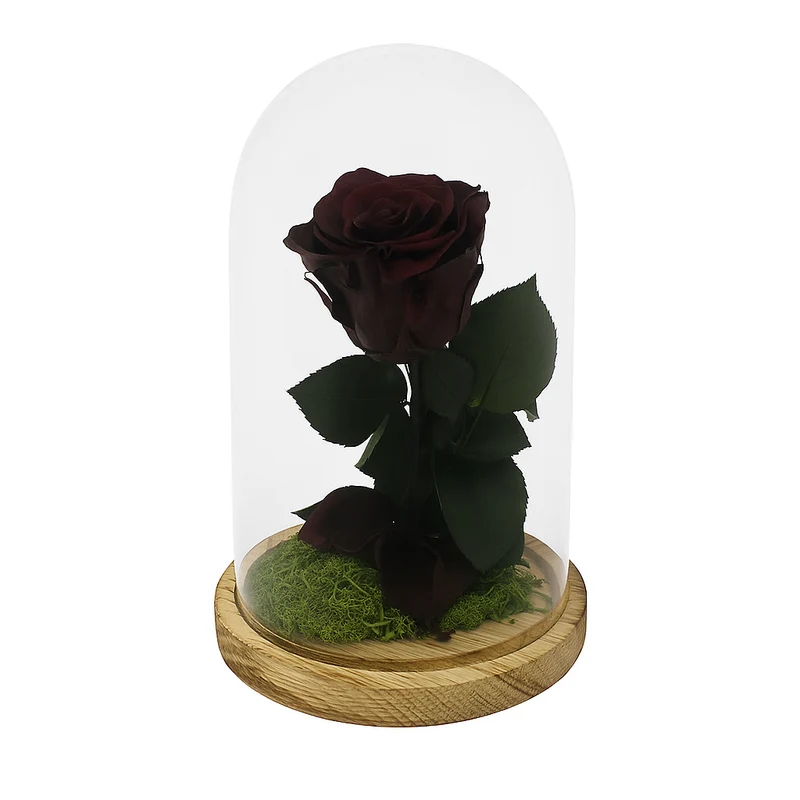 Mundo Eterno Rosa En Cúpula Burdeos 12x20cm