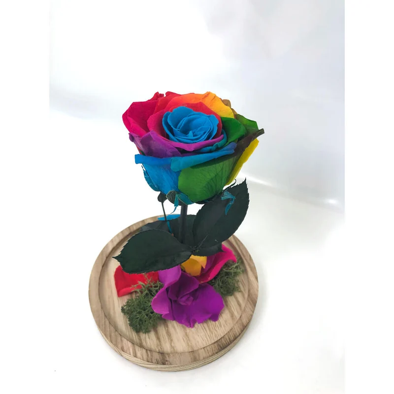 Mundo Eterno Rosa En Cúpula Multicolor 12x20cm