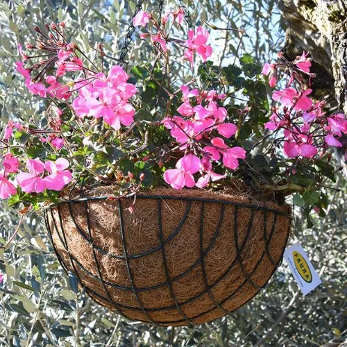 Macetero Colgante Coco 30cm