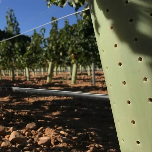 Tubo Protector de Árboles 60cm