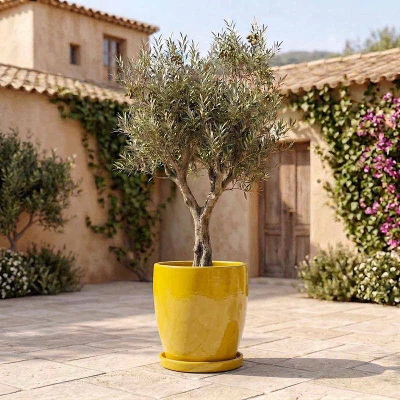 Soucoupe 20cm jaune