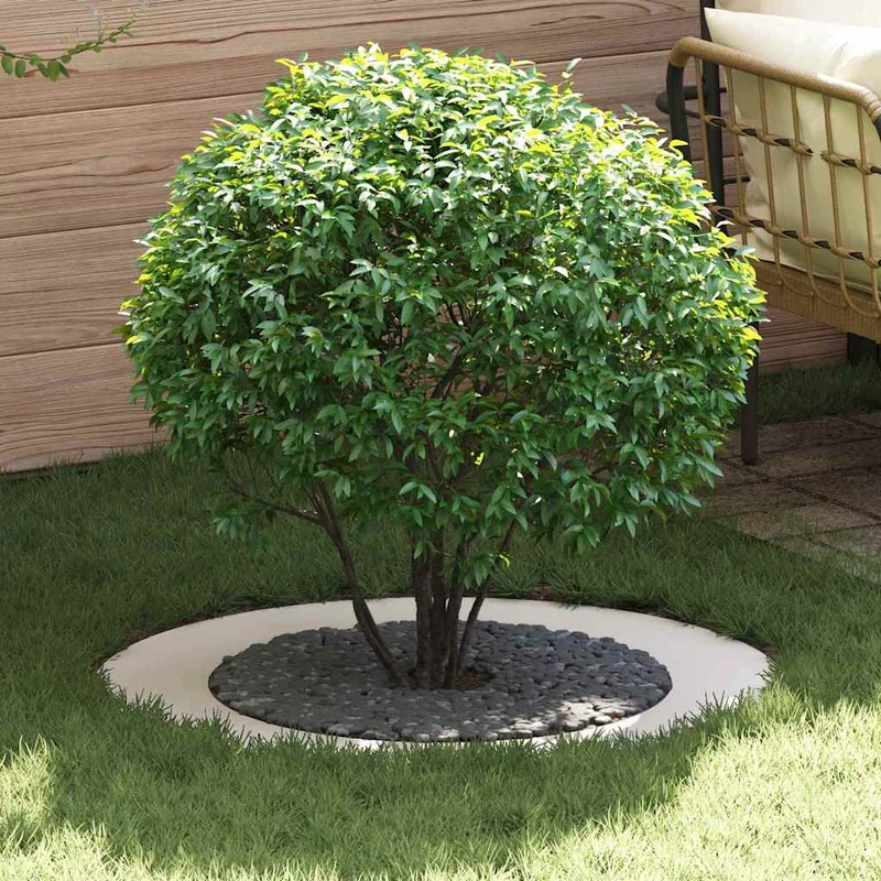 Adecuado Para Anillos De Árbol Plano 5 Uds. Ø60/90 Cm Acero