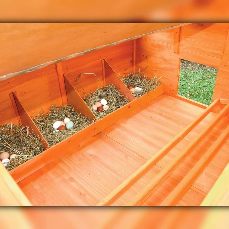 Gallinero Grande Para Exterior - Capacidad Para 8-12 Gallinas - Gallinero Calgary De Madera Con Cuatro Ponederos