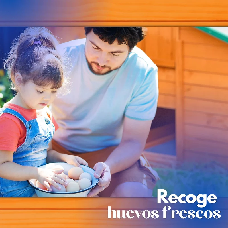 Gallinero Grande Para Exterior - Capacidad Para 8-12 Gallinas - Gallinero Calgary De Madera Con Cuatro Ponederos