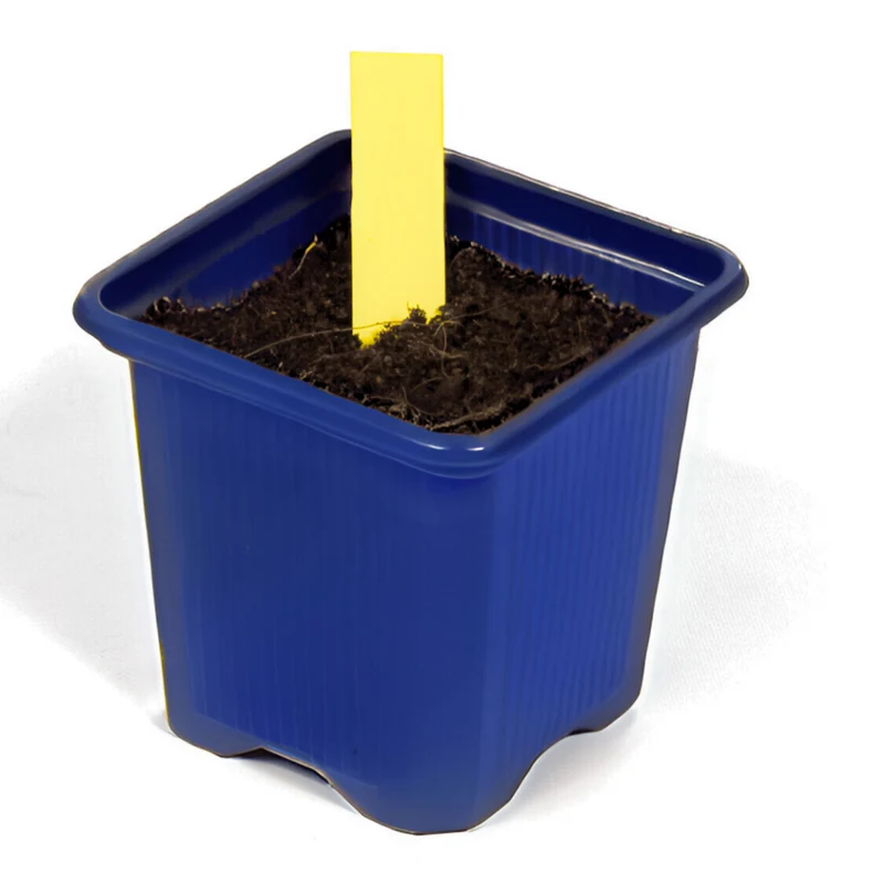 Etiqueta Para Planta Amarilla 1,3 X 6 Cm 500 Unidades