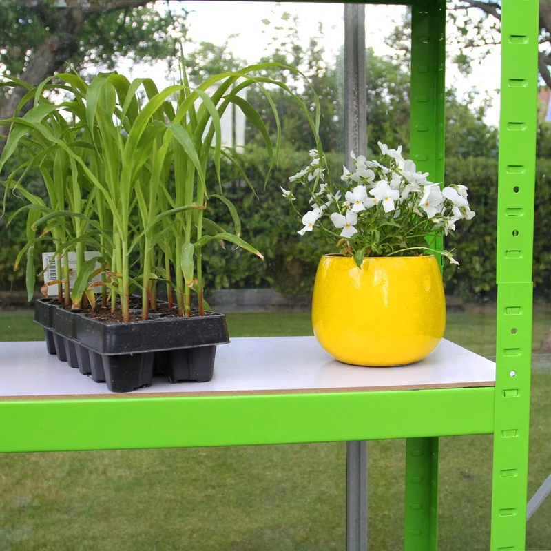 Invernadero Politúnel Con Estantería Galvanizada De Jardín Carpa De Cultivo 19mm 4 X 2m