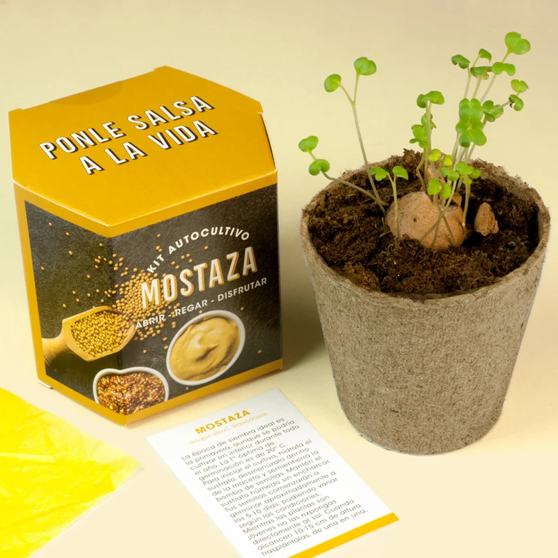 Kit Autocultivo de Mostaza Cultiva tus Propias Semillas en Casa | Fácil y Rápido - Resetea