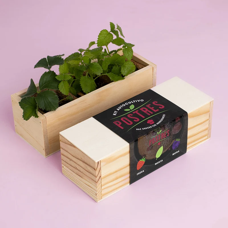 Kit Autocultivo Postres Fresa, Menta y Mora | Ideal para Repostería y Smoothies - Resetea