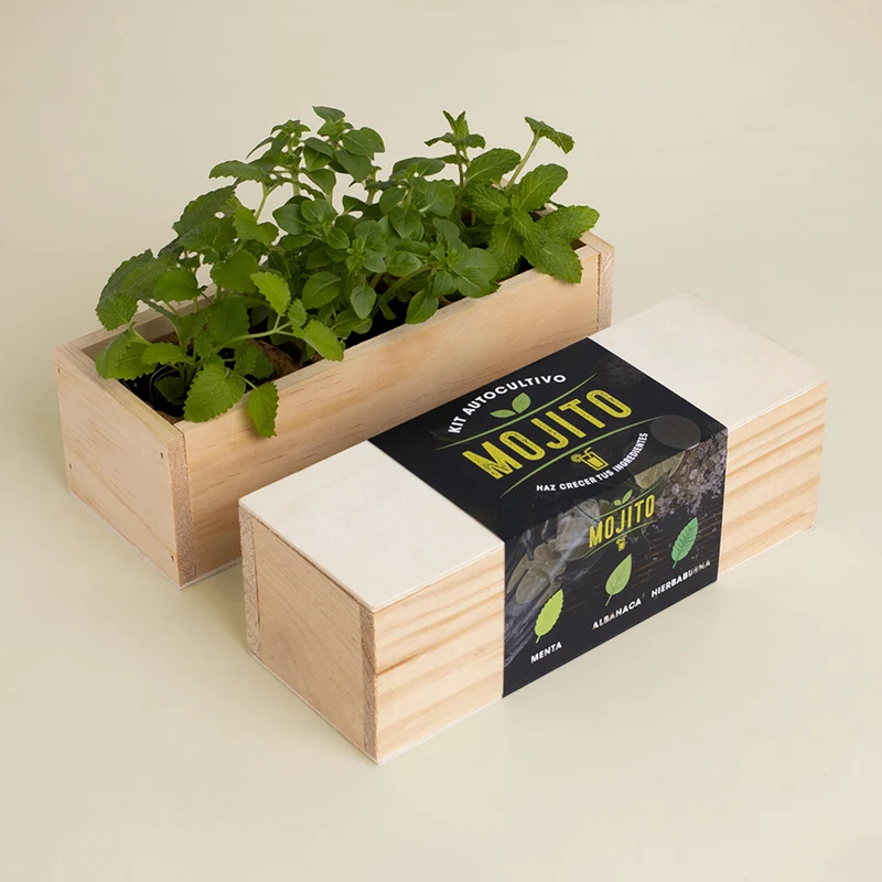 Kit Autocultivo Mojito Menta, Albahaca y Hierbabuena | Regalo Original para Cócteles - Resetea