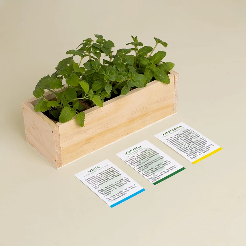 Kit Autocultivo Mojito Menta, Albahaca y Hierbabuena | Regalo Original para Cócteles - Resetea
