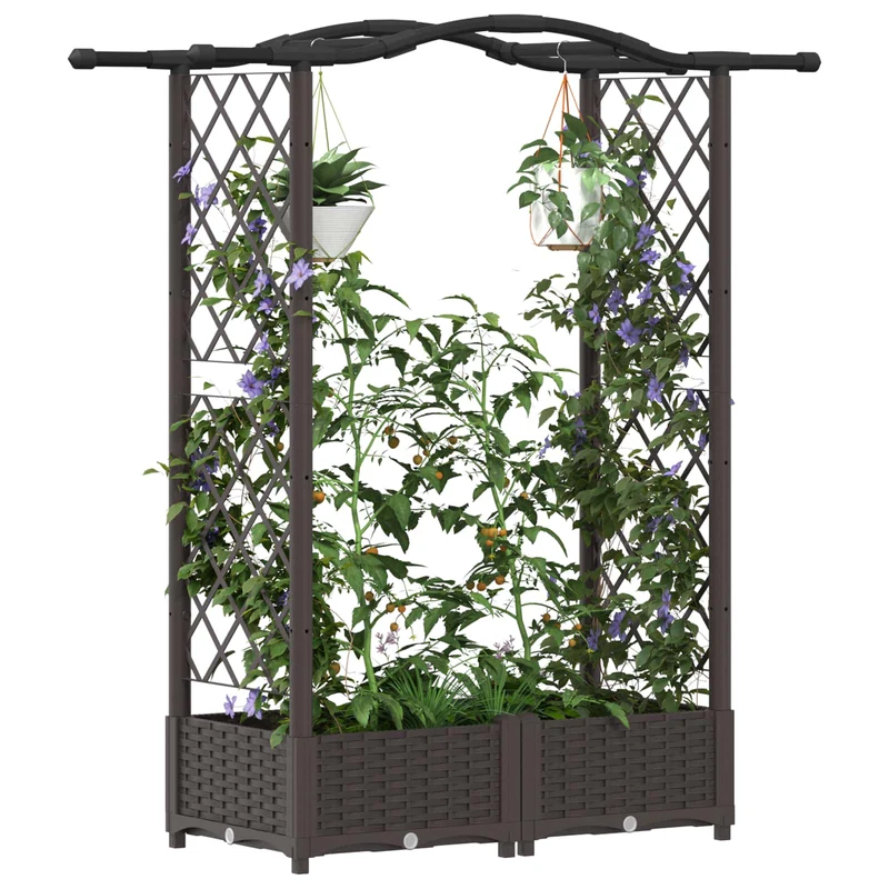 Cama Elevada Con Trellis Y Techo Marrón 124 X 40 X 123 Cm Pp