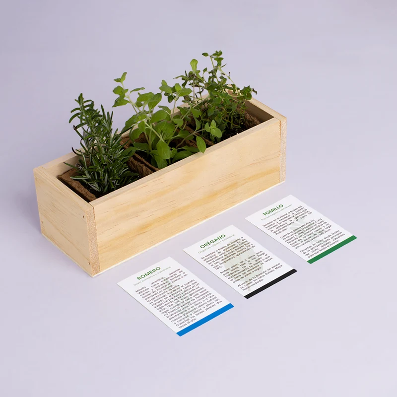Kit Autocultivo Provenzal Romero, Orégano y Tomillo | Aromáticas Mediterráneas - Resetea