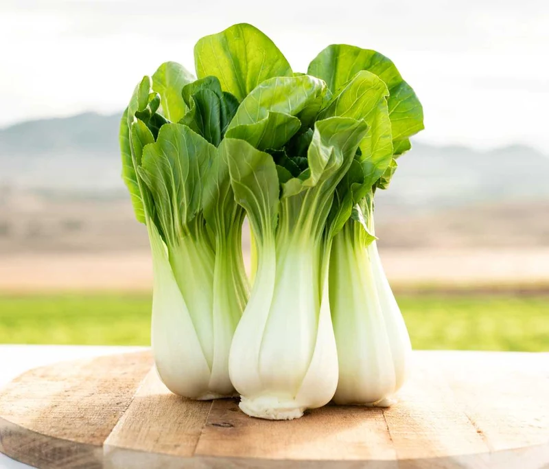 Semillas De Pak Choi Ecológicas