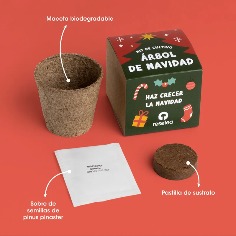 Kit Árbol de Navidad para Cultivar en Casa - Pino de Navidad, Regalo Original - Resetea