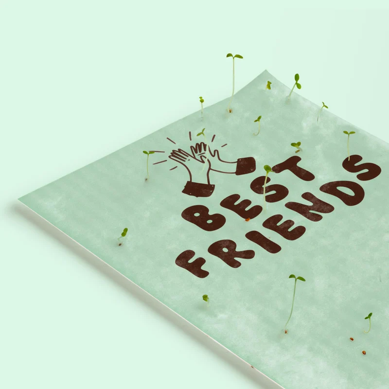 Postal Plantable Best Friends Con Semillas De Tomate – Papel De Algodón Reciclado - Resetea