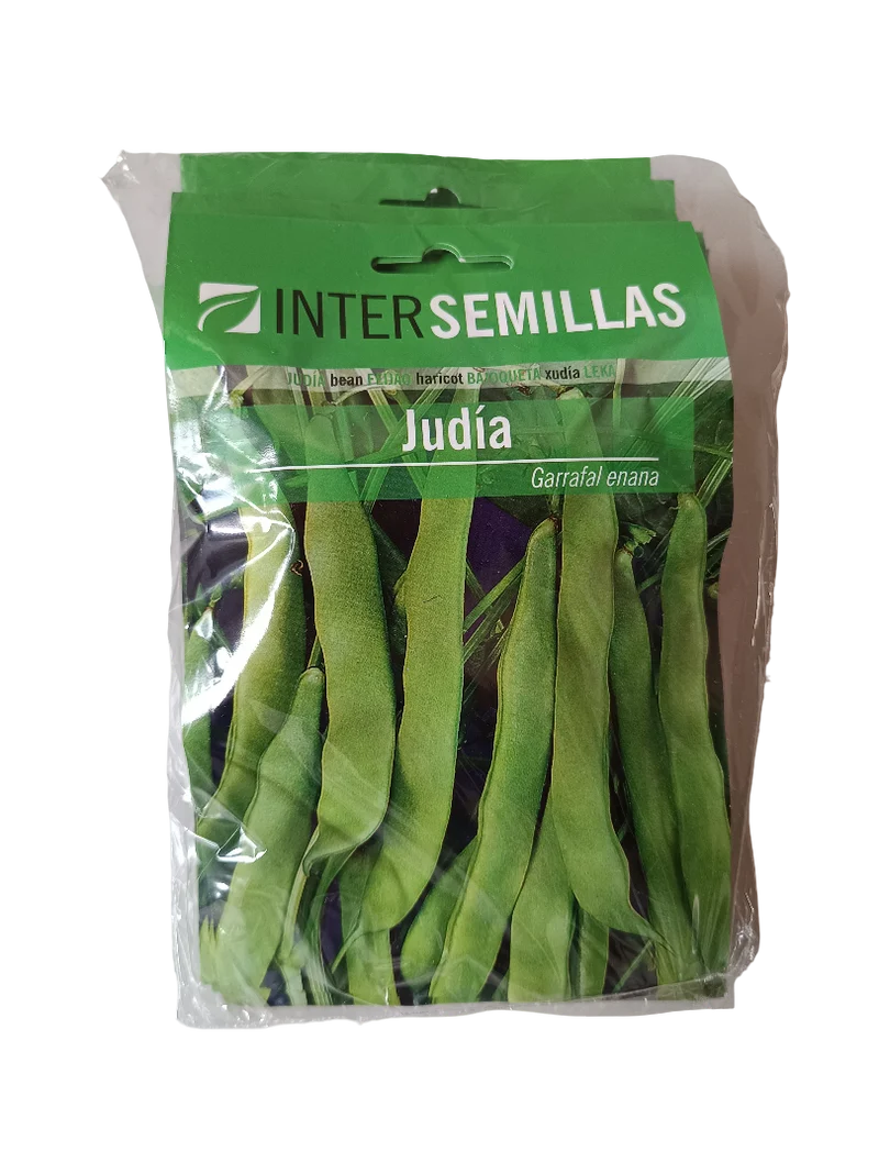Semillas De Judia Garrafal Enana
