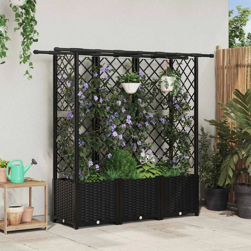 Cama Elevada Con Trellis Y Techo Negro 163,5 X 40 X 136 Cm Pp