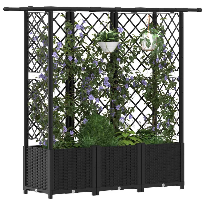 Cama Elevada Con Trellis Y Techo Negro 163,5 X 40 X 136 Cm Pp