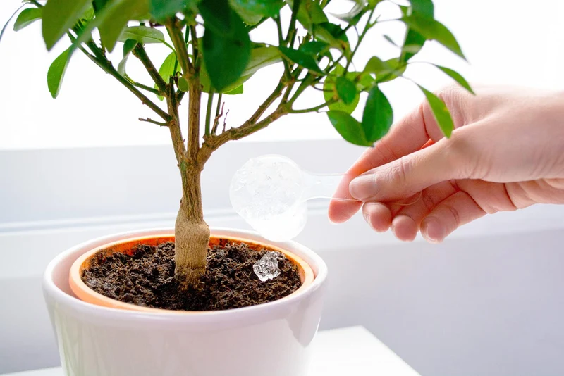 Hidrogel Para Plantas | Water Plants 500g | Perlas Retenedoras De Agua Para Reducir La Frecuencia De Riego