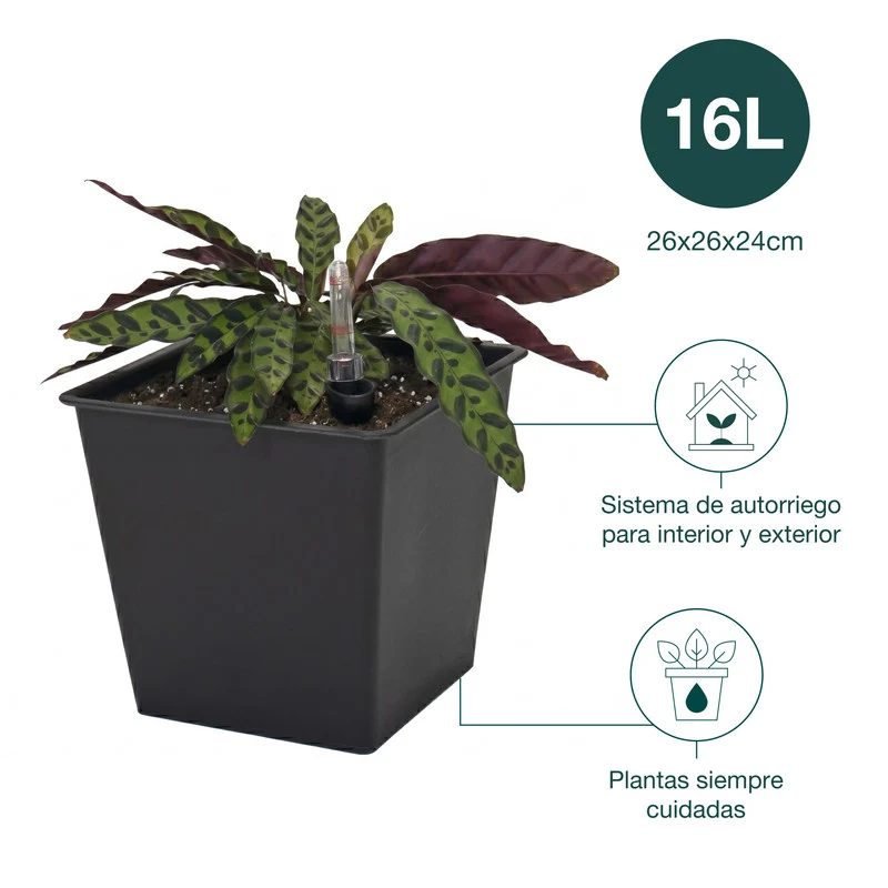 Pack De 3 Macetas Con Autorriego De Polipropileno 16 L 26x26x24 Cm Hortalia