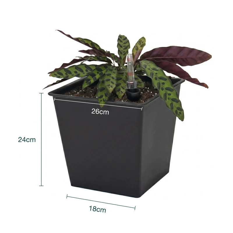 Pack De 3 Macetas Con Autorriego De Polipropileno 16 L 26x26x24 Cm Hortalia