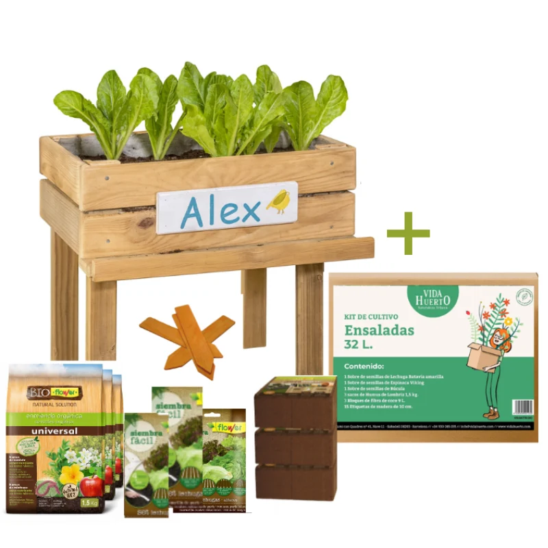 Mesa De Cultivo Infantil De Madera Con Kit De Cultivo De Ensaladas | Vidahuerto