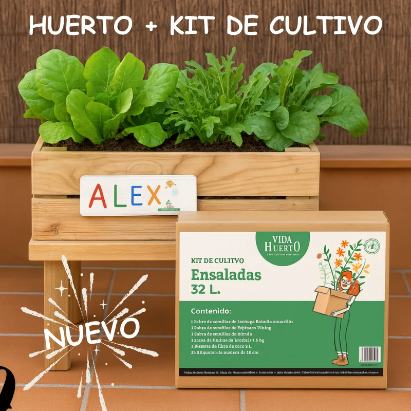 Mesa De Cultivo Infantil De Madera Con Kit De Cultivo De Ensaladas | Vidahuerto