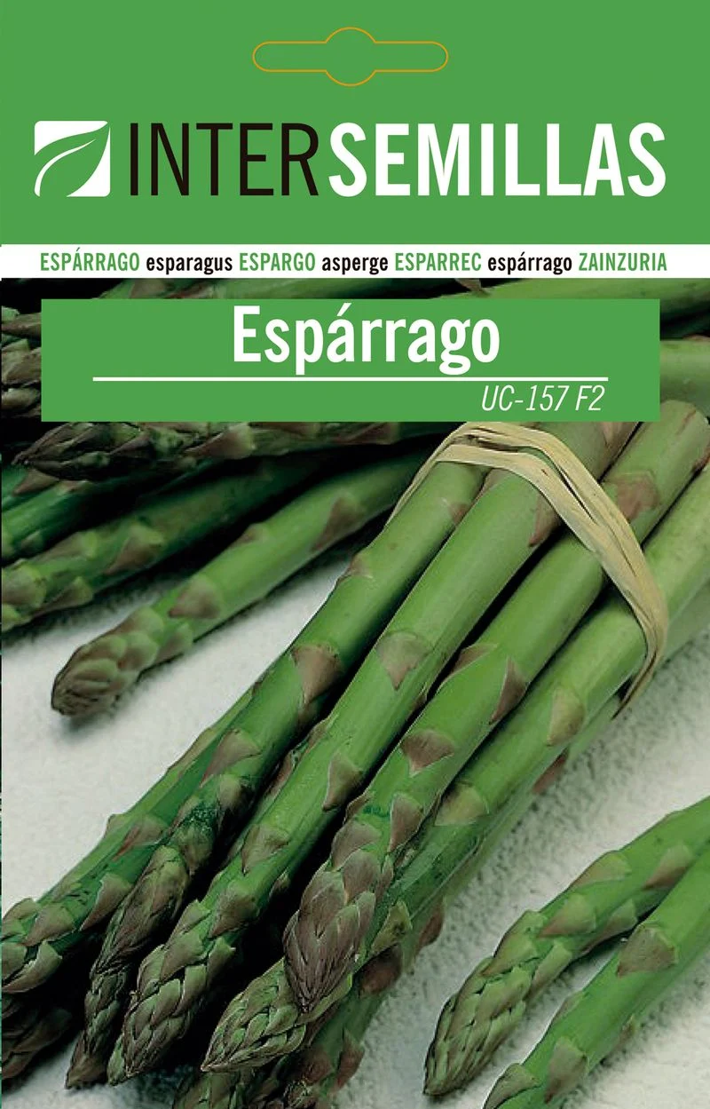Sobre De Semillas De Esparragos Uc