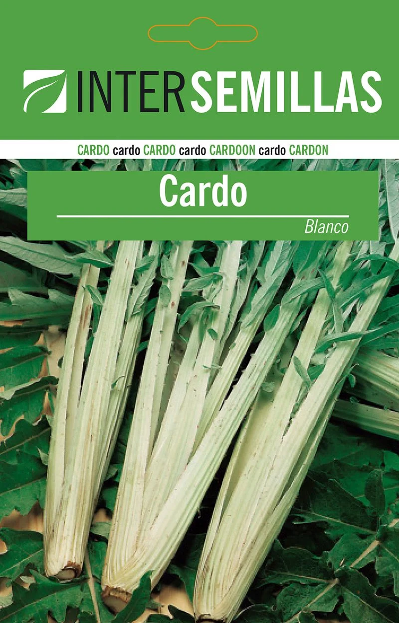 Sobre De Semillas De Cardo Blanco